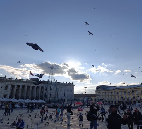 Hermosos cielo con pájaros y mucha gente